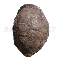 Great Turtle Shell-image